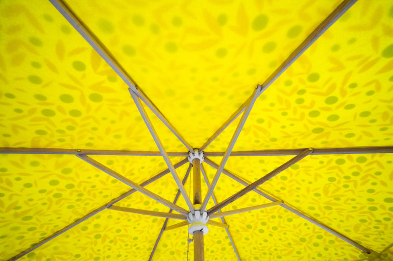 Inside full yellow parasol