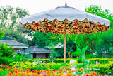 Flora parasol in garden