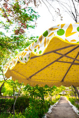 designing colorful parasol